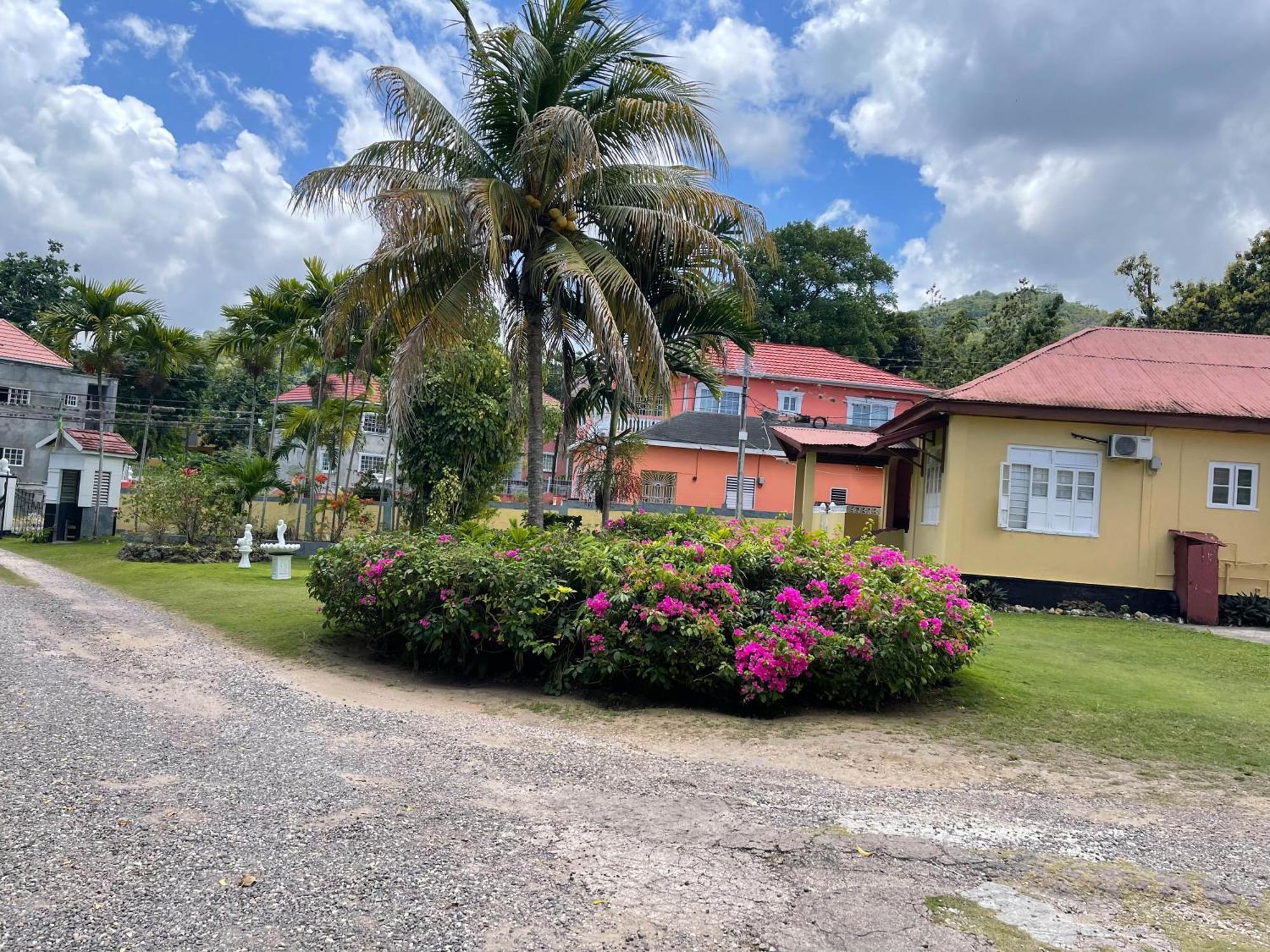 אוצ'ו ריוס Little Shaw Park Guest House מראה חיצוני תמונה
